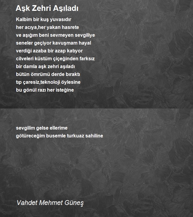 Vahdet Mehmet Güneş