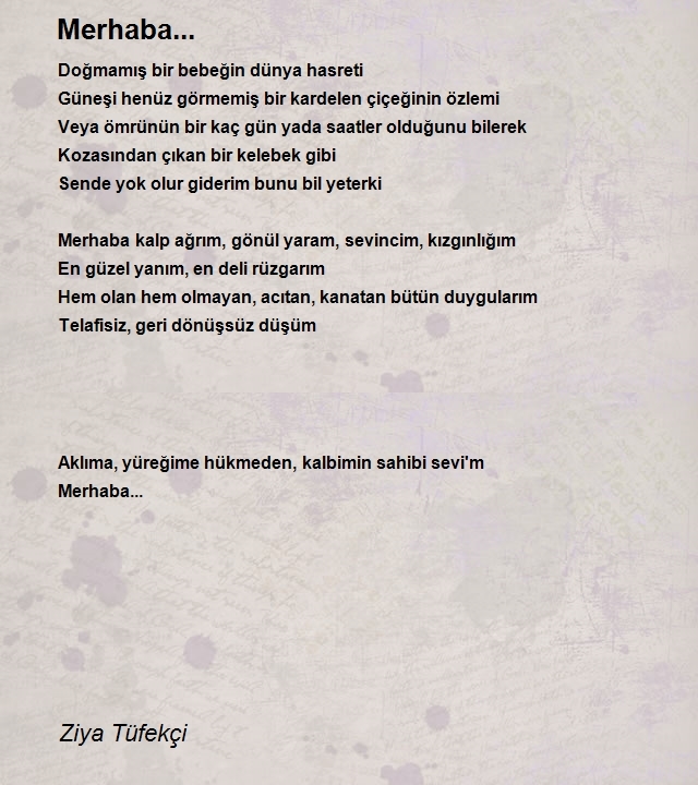 Ziya Tüfekçi