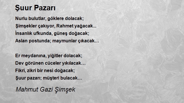 Mahmut Gazi Şimşek