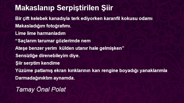 Tamay Önal Polat