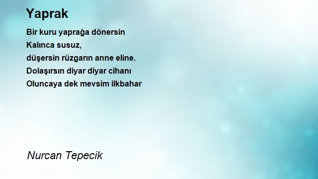 Nurcan Tepecik 