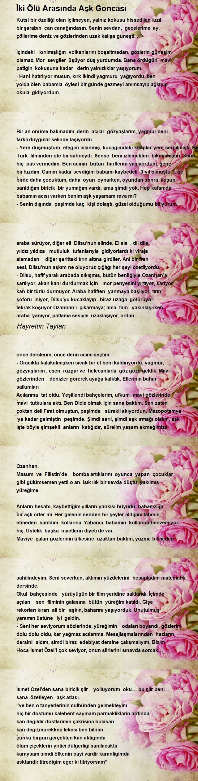 Hayrettin Taylan