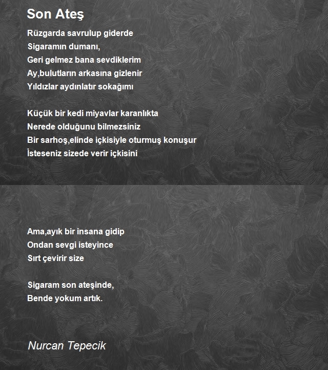 Nurcan Tepecik 