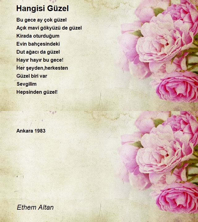 Ethem Altan