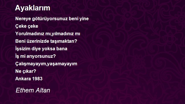 Ethem Altan