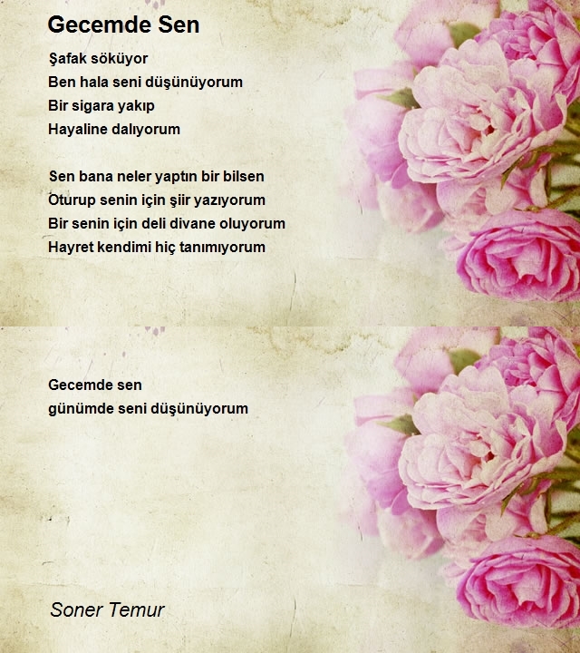 Soner Temur