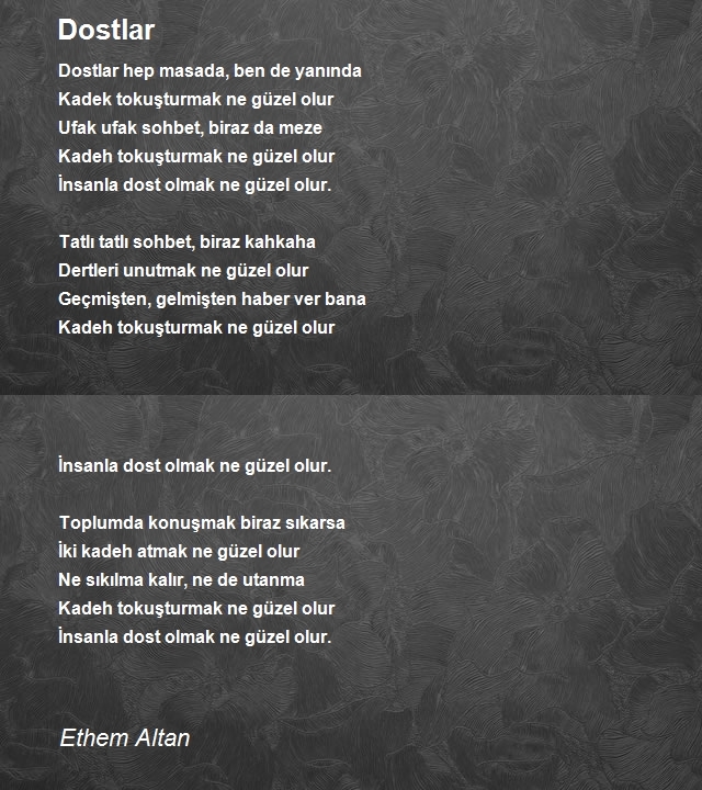 Ethem Altan