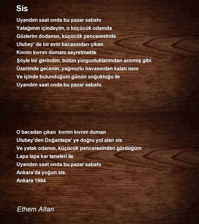 Ethem Altan