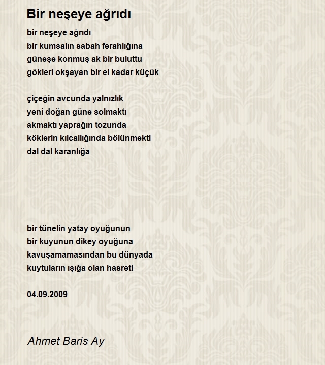 Ahmet Baris Ay