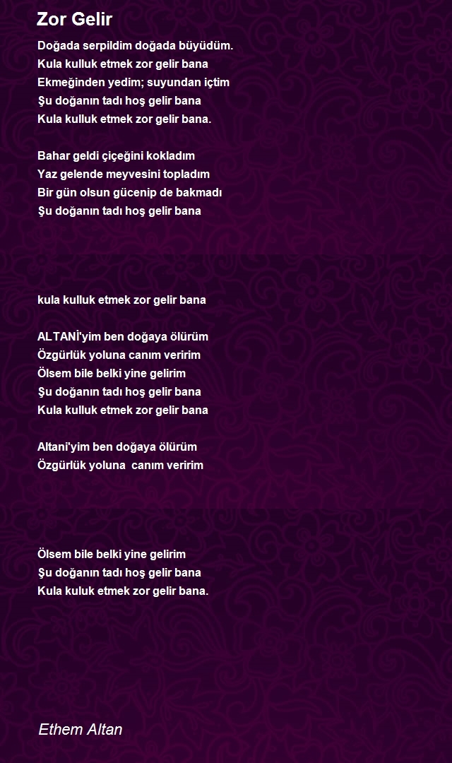 Ethem Altan