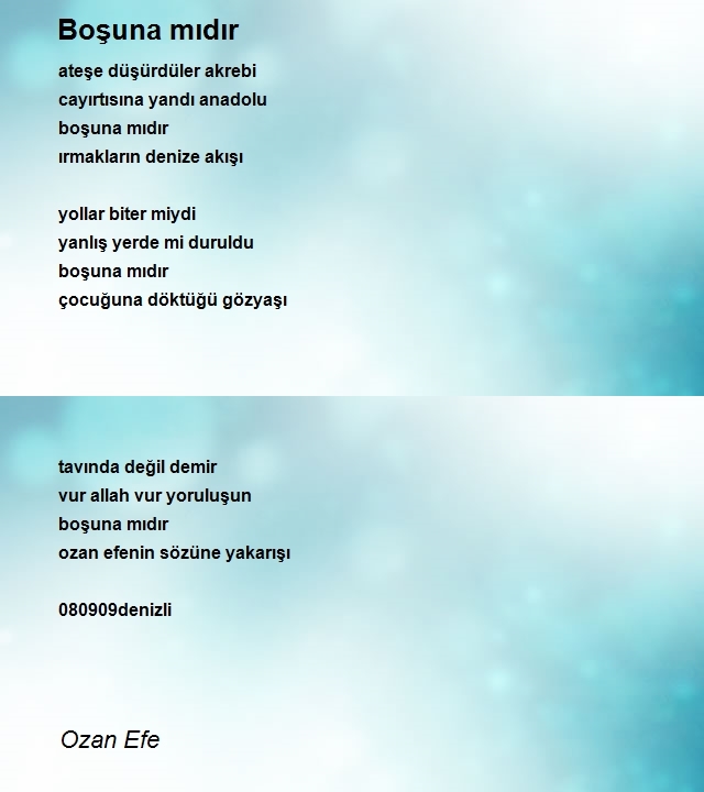 Ozan Efe