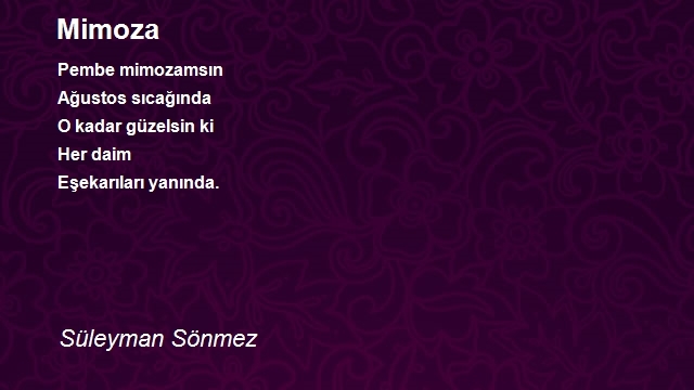 Süleyman Sönmez