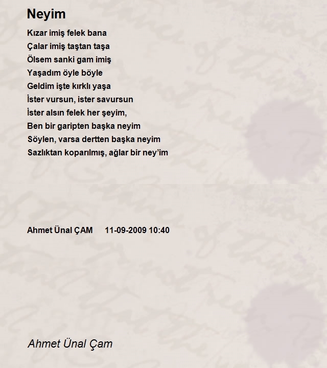 Ahmet Ünal Çam