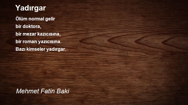 Mehmet Fatin Baki