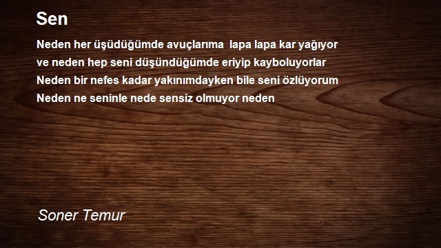 Soner Temur