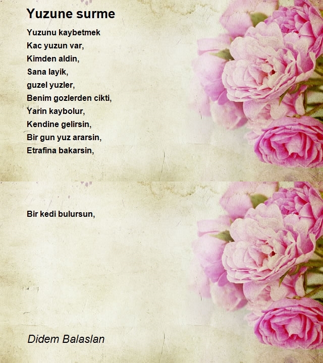 Didem Balaslan