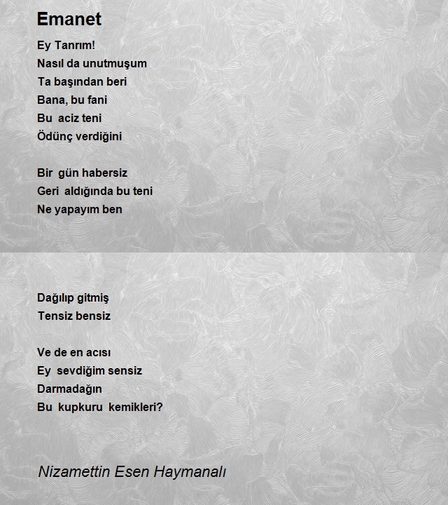 Nizamettin Esen Haymanalı