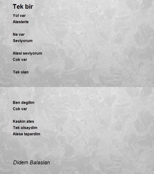 Didem Balaslan