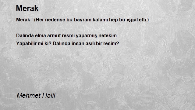 Mehmet Halil