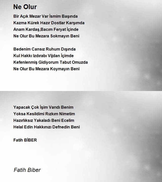 Fatih Biber