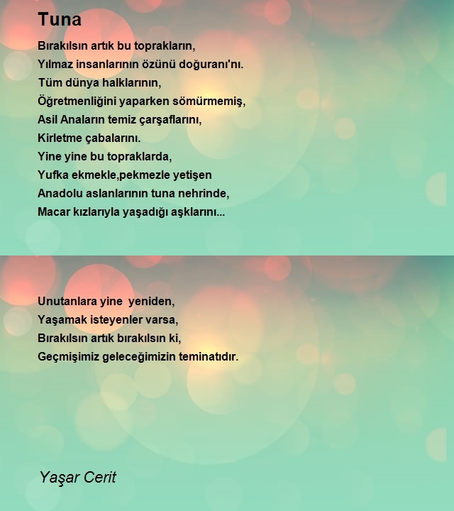 Yaşar Cerit