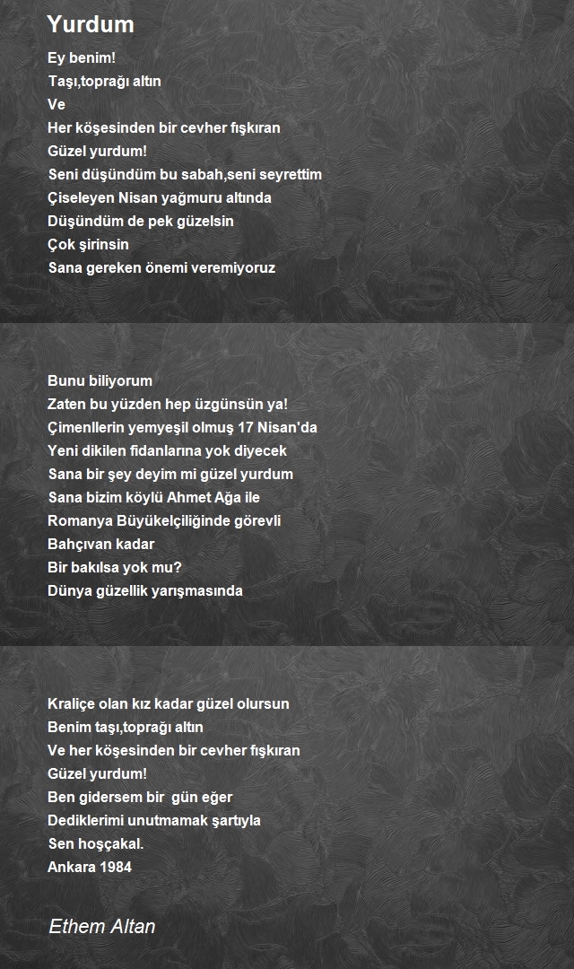 Ethem Altan