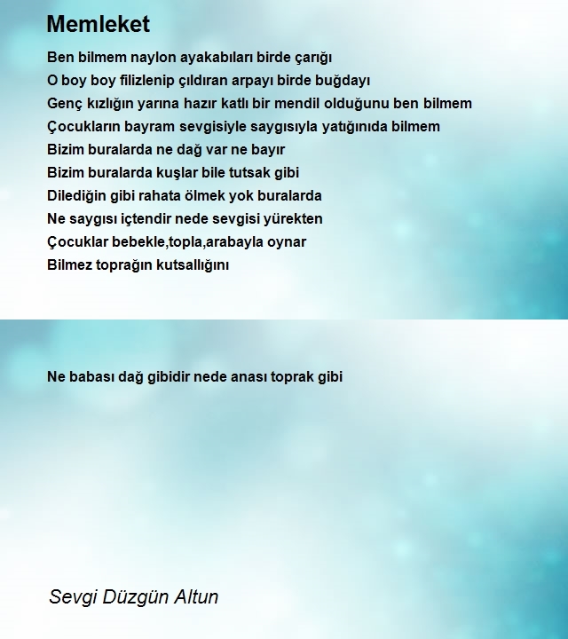 Sevgi Düzgün Altun