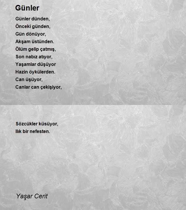 Yaşar Cerit