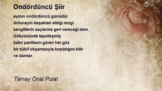 Tamay Önal Polat