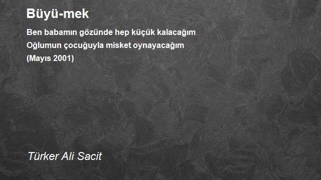 Türker Ali Sacit