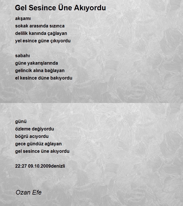 Ozan Efe