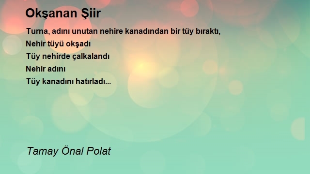 Tamay Önal Polat