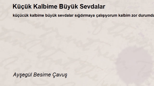 Ayşegül Besime Çavuş