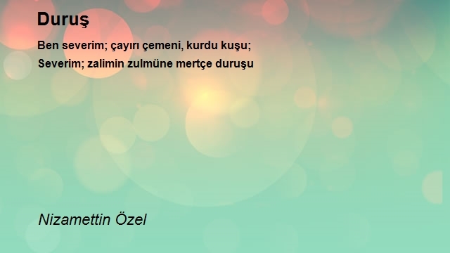 Nizamettin Özel