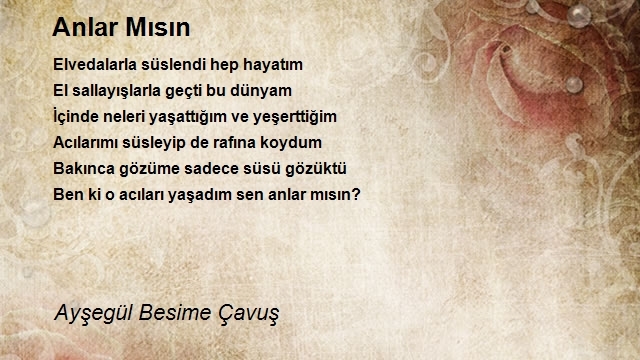 Ayşegül Besime Çavuş