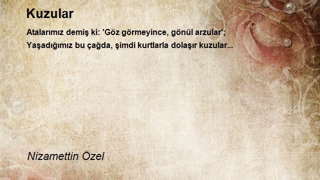 Nizamettin Özel