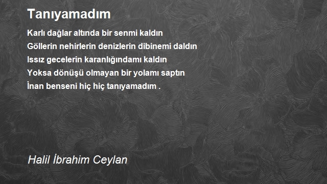 Halil İbrahim Ceylan