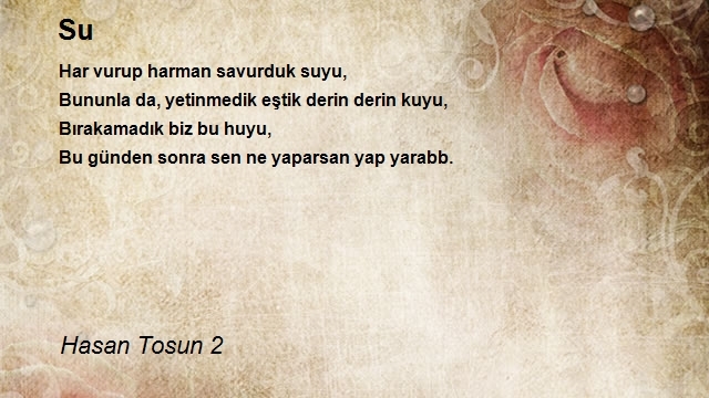 Hasan Tosun 2