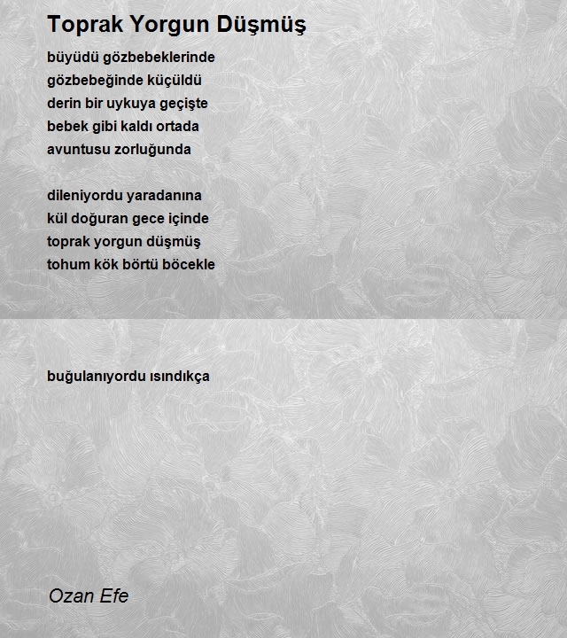 Ozan Efe