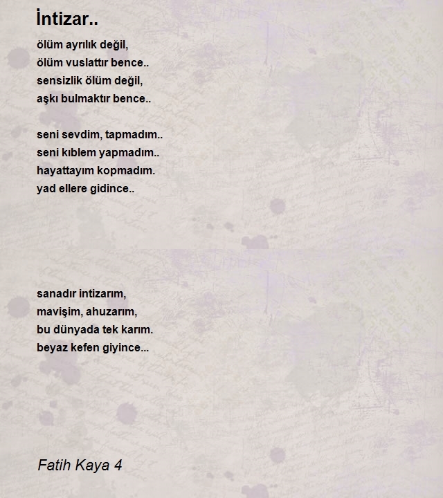 Fatih Kaya 4