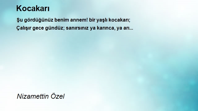 Nizamettin Özel