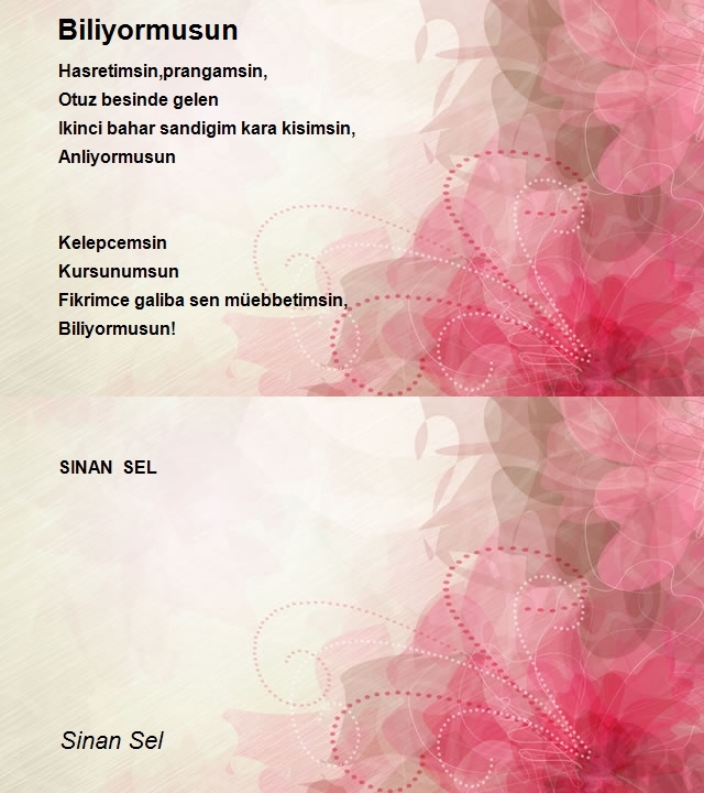 Sinan Sel