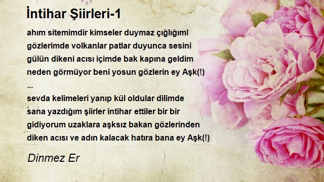 Dinmez Er