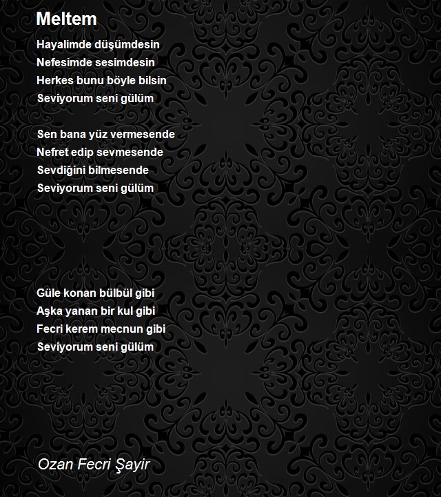 Ozan Fecri Şayir