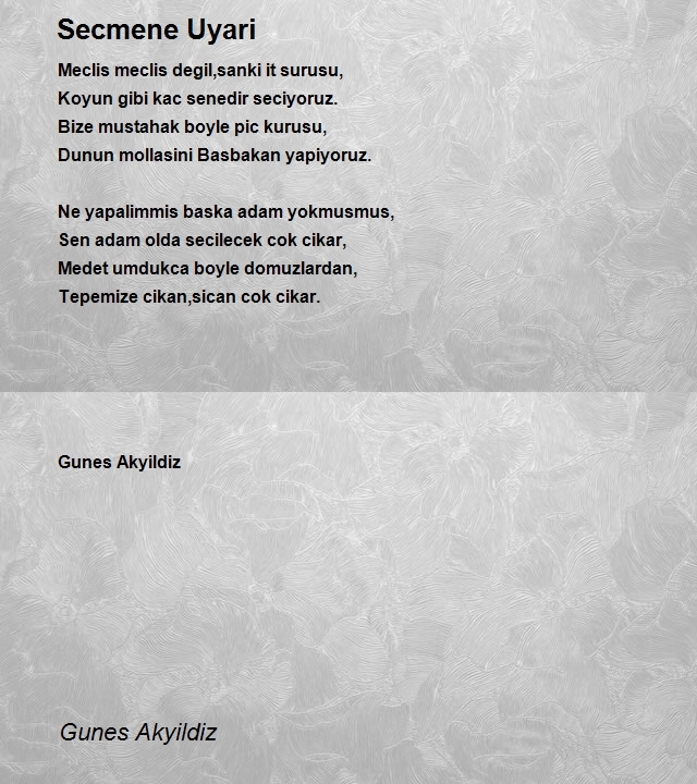 Gunes Akyildiz