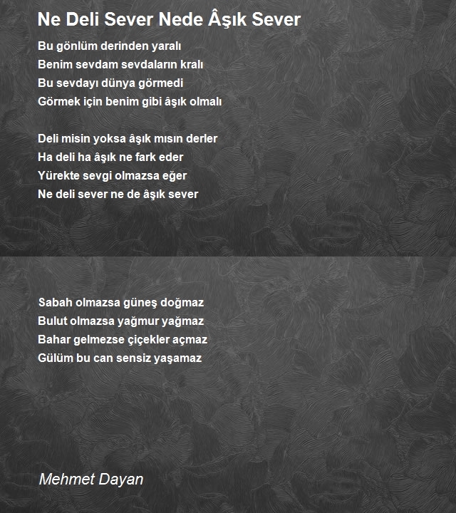 Mehmet Dayan