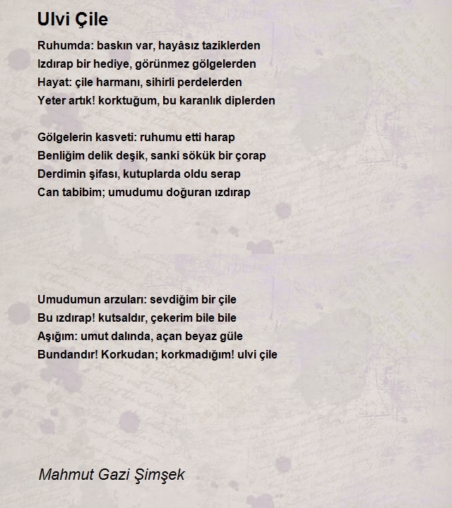 Mahmut Gazi Şimşek