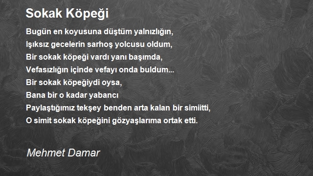 Mehmet Damar