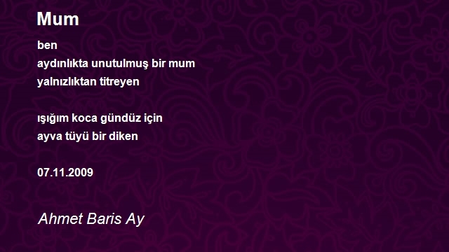 Ahmet Baris Ay