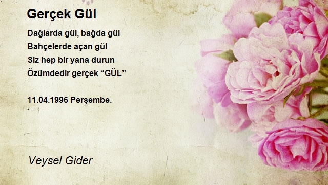 Veysel Gider